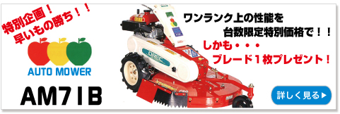 �����ȥ⥢AM71B������