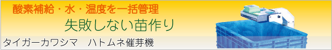 �Ų굡